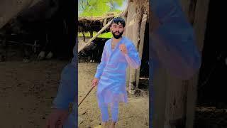 #pindawale #viralvideo #newpunjabisong #originalvoice #punjabisong #song2023