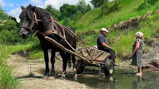 Happy Old Age of an Elderly Couple in an Old Village Far from Civilization! How is Salt Extracted?