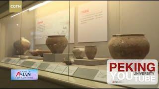Peking University Campus Open Day 2019 Livestream