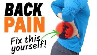 How To Treat Back Pain At Home - Strategies, Tests, And Exercises For Your Back