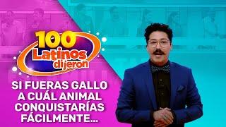 Si Fueras Gallo A Cuál Animal Conquistarías Fácilmente… - 100 Latinos Dijeron