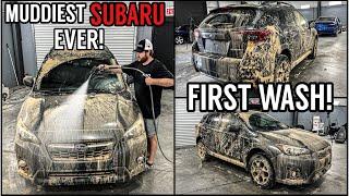 Deep Cleaning The MUDDIEST Subaru Ever! | Insanely Satisfying Disaster Car Detailing Transformation!