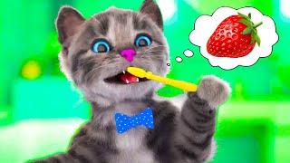 PLAYFUL LITTLE KITTEN ADVENTURE SPECIAL - FUN LITTLE KITTEN AND HIS ADVENTURE SPECIAL LONG JOURNEY