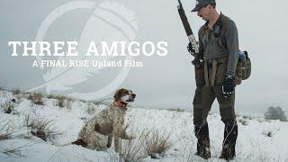 THREE AMIGOS - A FINAL RISE Upland Hunting Film