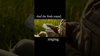 And the birds stayed, singing  #tolteca #carloscastaneda #toltecwisdom #memorialday #shaman
