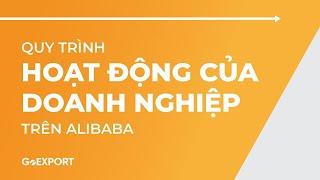 Quy Trình Hoạt Động Của Doanh Nghiệp Trên Alibaba | Đào Tạo GoEXPORT (Training)