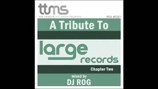 061 - A Tribute To Large Records - Chapter Two mixed by DJ ROG