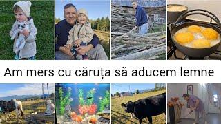 Curațenie Generala si organizare în garaj/Am donat haine si jucarii copiilor/prima data cu calu