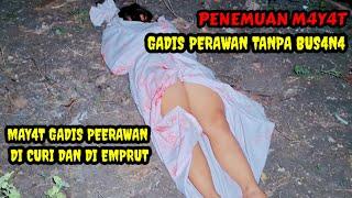  PENEMUAN M4Y4T GADIS PERAWAN TANPA BUS4N4⁉️