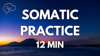 Somatic Exercises for Nervous System Regulation | 12 Min Guided