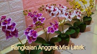 RANGKAIAN ANGGREK MINI LATEK