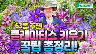 클레마티스 키우기 꿀팁 총 정리! 예쁜 봄꽃 정원가꾸기, 꼭 갖고 싶은  63종 추천~