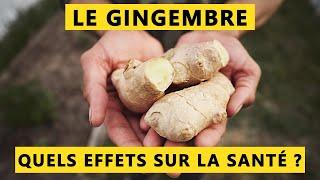 La vérité sur les effets du GINGEMBRE sur la santé