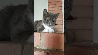 степан #чудесный день