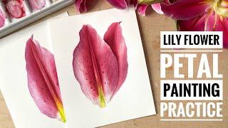 Lily flower petal watercolor painting practice | Lily flower art