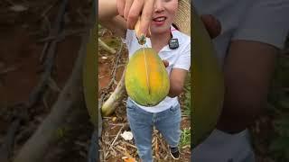 Beautiful Nature - Inspur Fresh Fruit wonderful video of Industry #2217