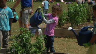 Welcome to Mableton's new STEM Garden