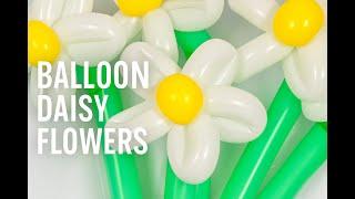 How to make a balloon Flower - Balloon daisy gift tutorial #balloonflower #balloonanimals #balloon