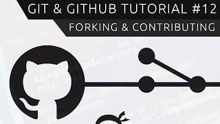 Git & GitHub Tutorial for Beginners #12 - Forking (& Contributing)