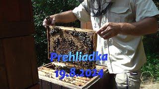 Prehliadka - 19.8.2024