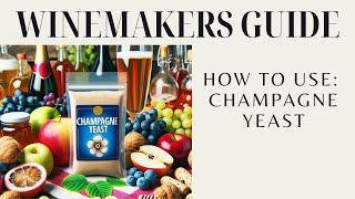 Champagne Yeast Secrets: Elevate Your Winemaking Game