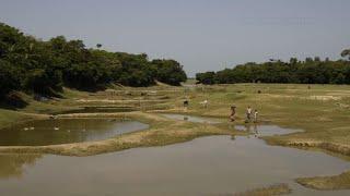 Expert wins World Food Prize for fish research