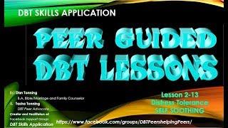 DBT Skills Application 2-13 SELF SOOTHING