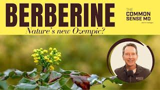 Berberine I The Common Sense MD I Dr. Tom Rogers