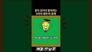 혼자 있어야 복 터지고 대박나는 3가지 띠 공개! #말띠 #양띠 #쥐띠 #원숭이띠 #닭띠 #사주 #부업 #돈버는법 #부적