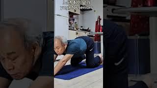 노년 취미요가 ( 351 ) #yoga for seniors #shorts