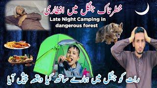 Late Night Camping in Dangerous Forest/Muhammad Faizan Ofiicial