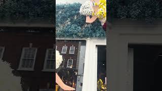 Inside the Granado Floral Installation | Ricky Paul Flowers for Chelsea in Bloom