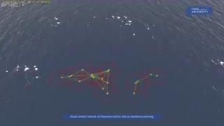 Visual Contact Networks of Shipwreck Victims