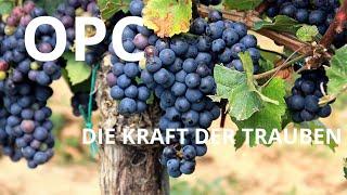 OPC - die Kraft der Trauben