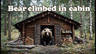 BEAR CAME to MY TINY LOG CABIN and BROKE the WINDOW | Life in a OFF GRID LOG CABIN