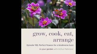 Perfect flowers for a biodiverse buzz in your garden with Arthur Parkinson - Episode 198