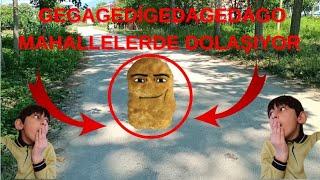 Gegagedigedagedago Mahallelerde Dolaşıyor!! 