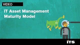 The ITS Partners ITAM Maturity Model