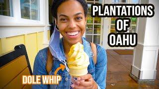 The Dole Plantation! Too touristy or worth a visit? | Coffee and cacao plantation | Dole whip