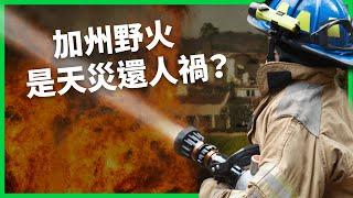 加州野火是天災還人禍？大火狂燒消防栓卻沒水？這場火災曝露出哪些制度問題？【TODAY 看世界】