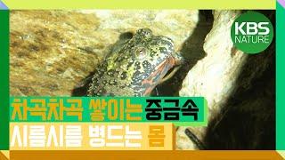 [시청자요청] 차곡차곡 쌓이는 중금속! 암환자 속출 위기 | 환경스페셜 "산업화의 그늘, 중금속" (2007년 12월 5일 방송)