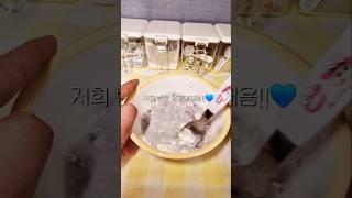 근황토크#인형계 #@김콩티비 #따라하지마세요 #구독부탁합니다 #좋댓구알 #추천추천추천추천추천추천추천추천추천추천
