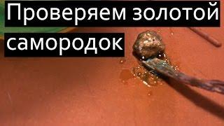  Проверяем золотой самородок