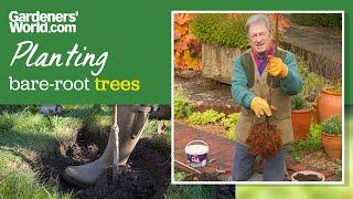 Save money on new trees | Alan's guide to planting BARE-ROOT TREES in winter