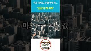 마포아파트 한달만에 가격 뚝! "집값이 왜이래"