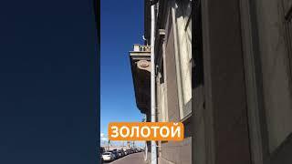 Золотой ️ #питер #shorts