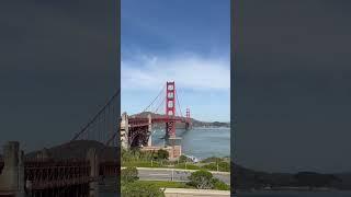️RARE BREED️: SF LOCALS
