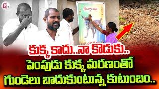 కుక్క కాదు..నా కొడుకు..| Dog Lover Emotional Interview | SumanTV Tirupati