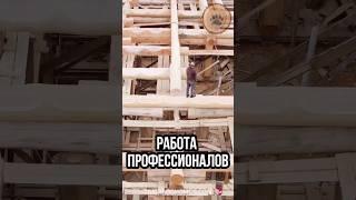 АРТЕЛЬ “ТАЁЖНЫЙ ДОМ”: ОТ ЛЕСА ДО УЮТНОГО ДОМА  #Shorts