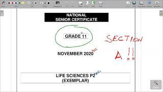 GRADE 11 LIFE SCIENCE  NOV P2 2020 REVISION MEMO